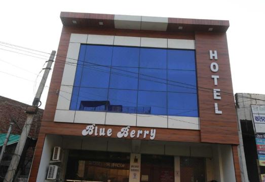 호텔 블루 베리 아그라 외관