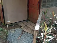 Green Point Hotels in Osa