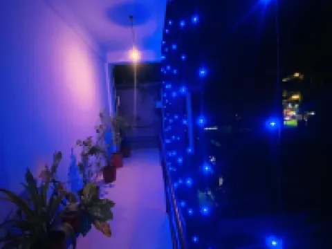 Sneha Bhawan Kaziranga Hotels in Hatikhuli T.E.