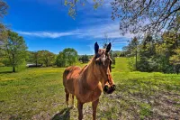 舒適的特倫頓小屋，帶溫泉~距離Lookout Mtn 15英里！ - Wi-Fi