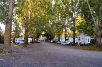 Columbia Point Resort - Motels