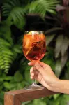 Agam Hotel - bar
