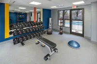 Hampton Inn & Suites Asheville Airport - Gym