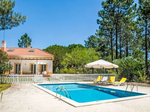UA 25- Pine Villa - Homestays