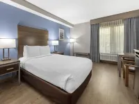 Best Western Fort Lauderdale Airport/Cruise Port Hotels near Fort Lauderdale-Hollywood International Airport