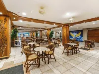 Blue Tree Thermas de Lins Resort فنادق في لينس