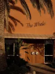 The Whale