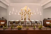 Turtle Bay Resort - Red Sea - breakfast