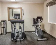 Quality Inn & Conference Centre - Gym