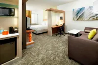 SpringHill Suites Chicago Waukegan/Gurnee - Parking