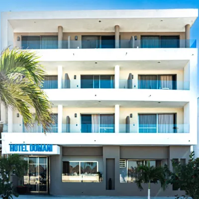 Hotel & Suites Domani Hotels near Malecon