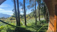 Merbabu Park - Mountain view