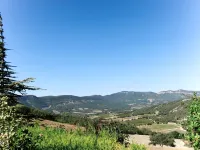 Le Cèdre