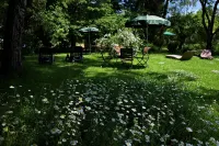 Traube Hotel in zona Hochgrat