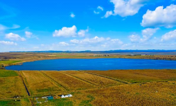 2. 게스트하우스 뱃..