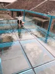 Wenzhou Wencheng Slow City Homestay - Pools