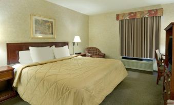 Comfort Inn & Suites University