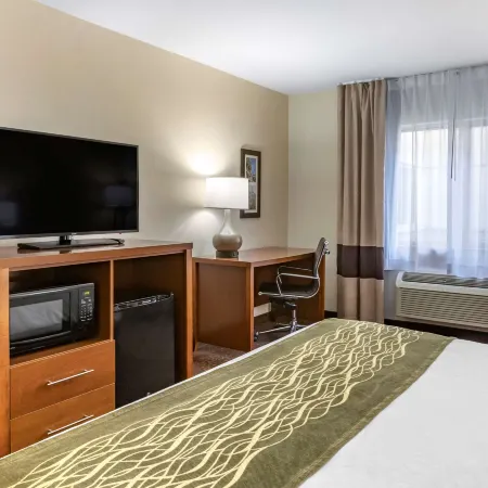 Comfort Inn Okemos - East Lansing