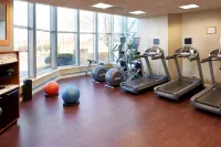 Hilton Minneapolis-St. Paul Airport - Phòng tập thể hình