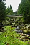 Studiowohnung Vogelsang - am Nationalpark Bayerischer Wald, 4 Gäste