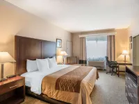 Comfort Inn & Suites Seattle North Hotels near Northgate Mall