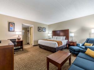 Comfort Inn Festus-St Louis South