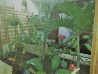 Pousada Terra Garrida โรงแรมใน