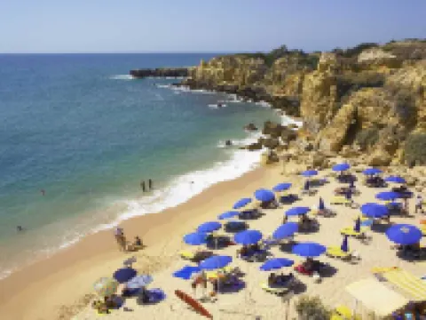 상 라파엘 홀리데이