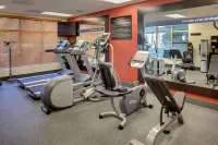 Hampton Inn Richmond - Airport - Gym