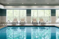 Holiday Inn Express ALLENTOWN NORTH by IHG - プール