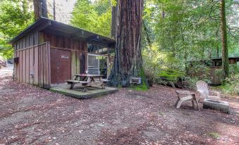 Redwoods River Resort & Campground