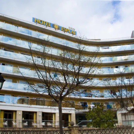 Hotel Esplai