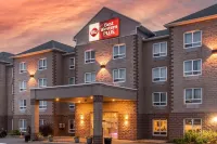 Best Western Plus Dartmouth Hotel  Suites