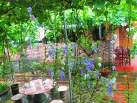 Ninh Binh Nature Homestay