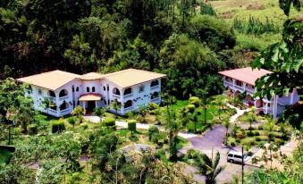 Hotel Rio Perlas Spa and Resort