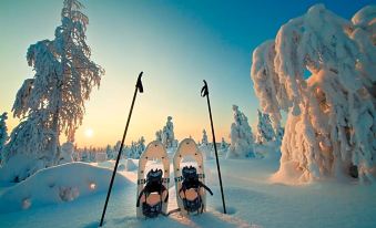 Vaattunki Wilderness Resort