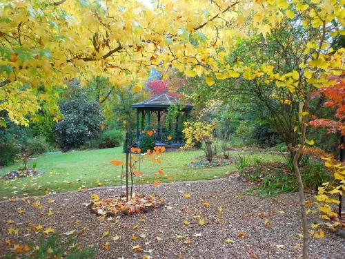 Merrimeet Cottages Hotels in Porepunkah