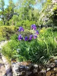 Les Jardins de Camelot Hotel a Fronsac