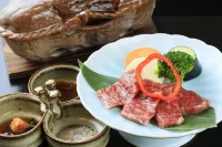 Meisho Tenryukyo Onsen Ryukyotei Hotels in Iida