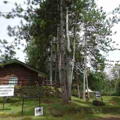 Eden Nature Park and Resort Hotel Exterior