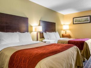 Comfort Inn & Suites East Hartford - Hartford