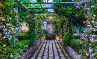 a beautiful garden with a stone pathway surrounded by lush greenery , including vines , flowers , and shrubs at Castello di Ugento