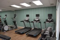 Holiday Inn Express & Suites LIBERAL by IHG - Gym