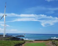 Jeju Basafan Spa Pension