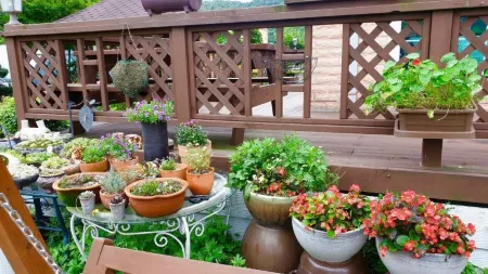 Hwacheon Sky Garden Pension Отели в г. Хвачхон