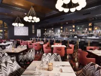 Hotel Californian Hotels near Moreton Bay Fig Tree