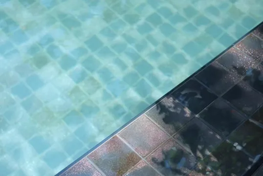 รูปภาพของไอริเวอร์ เชียงใหม่