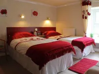 Afon Duad Inn Hôtels à : Newcastle Emlyn