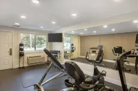 Best Western Shadow Inn - Gym