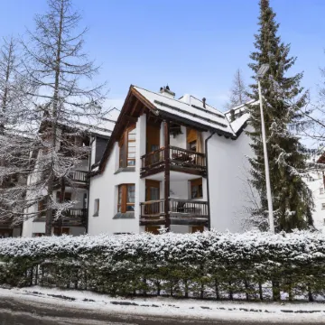 Schweizerhof 501 Mü